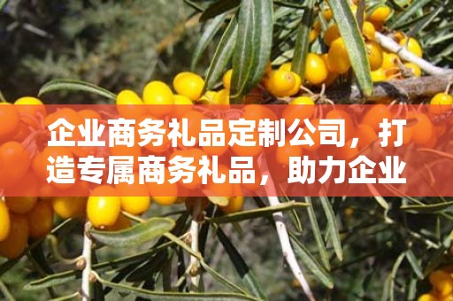 企业商务礼品定制公司，打造专属商务礼品，助力企业合作与发展
